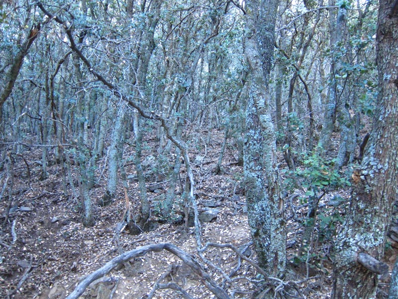 hk12092458.jpg - 201004 Bytes