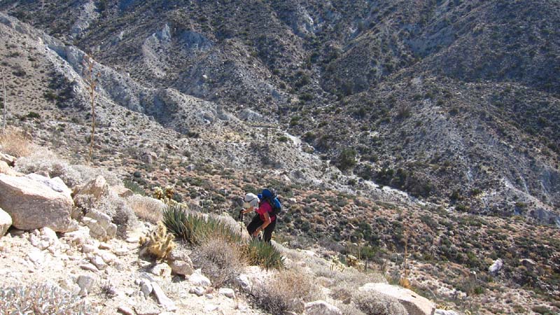 hk14012775.jpg - 125204 Bytes