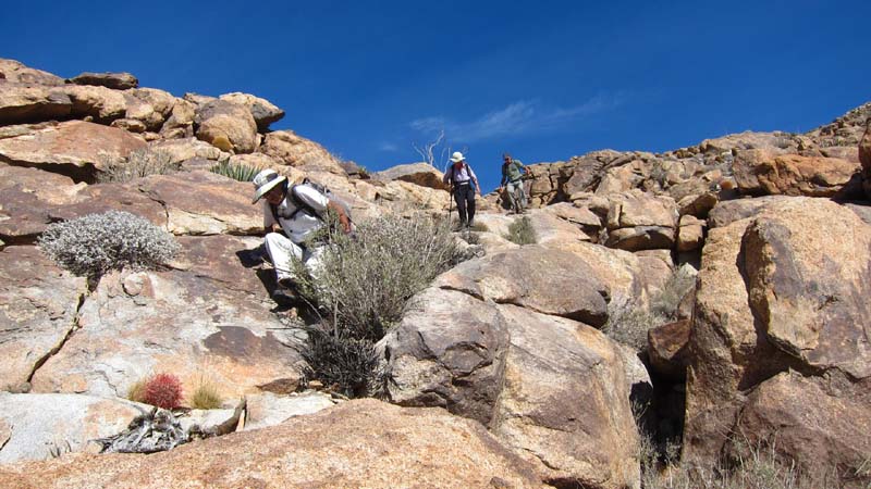 hk14030313.jpg - 92699 Bytes