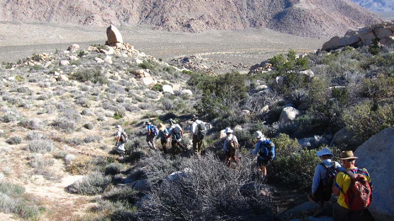 hk14033134.jpg - 114984 Bytes