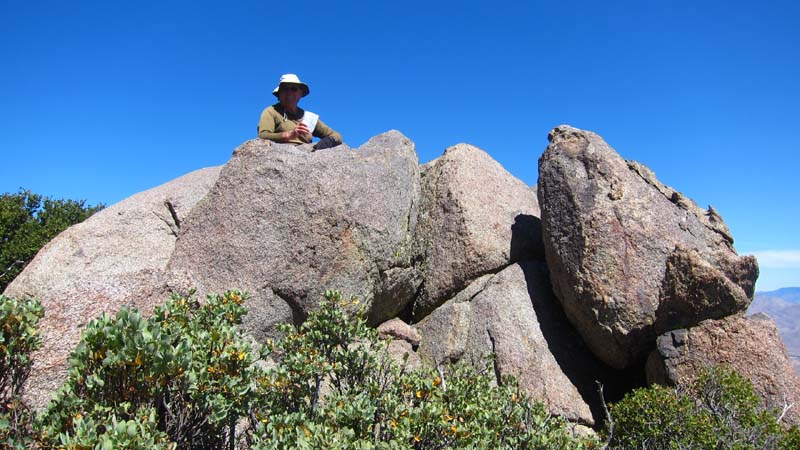 hk14061519.jpg - 95671 Bytes