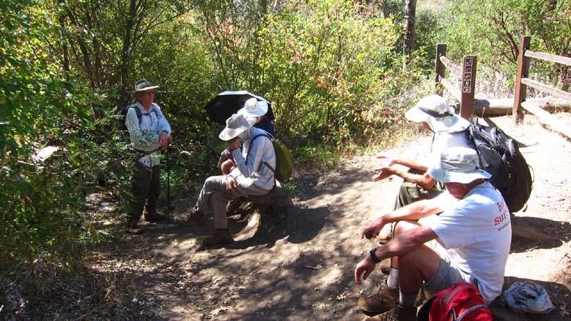 hk14102084.jpg - 127072 Bytes