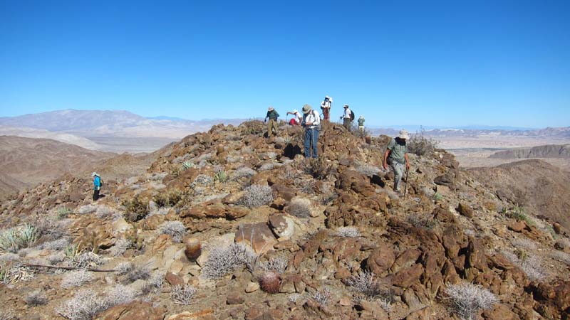 hk14111766.jpg - 76783 Bytes