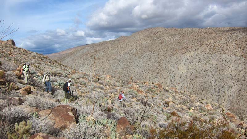 hk15011294.jpg - 90412 Bytes