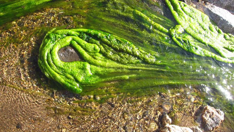 hk15011939.jpg - 124426 Bytes