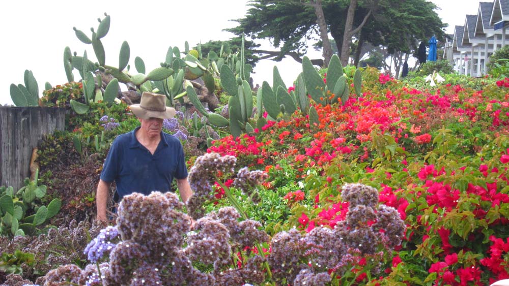 hk15070669.jpg - 139489 Bytes