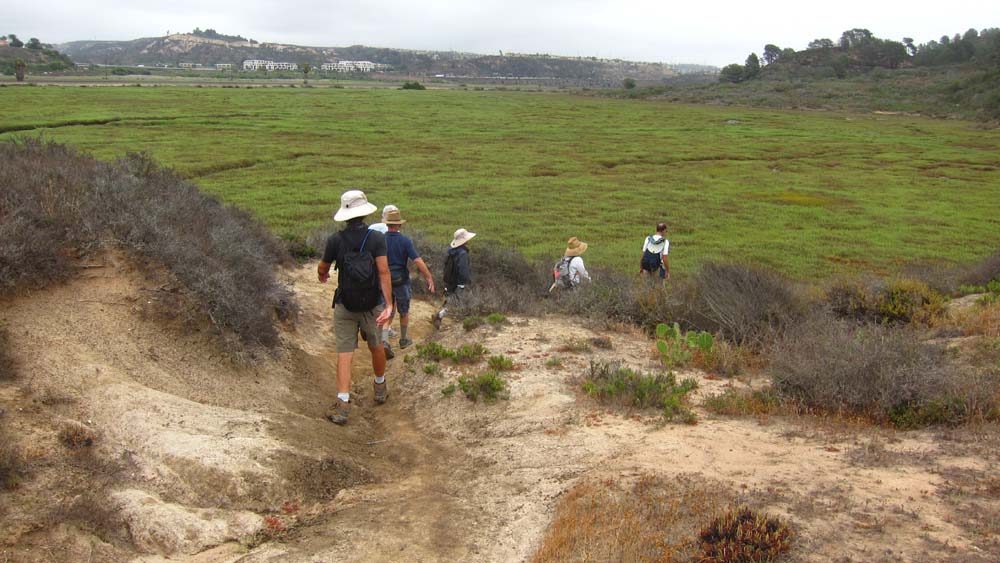 hk15070672.jpg - 111359 Bytes