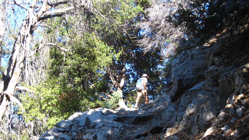 hk15072723.jpg - 194213 Bytes