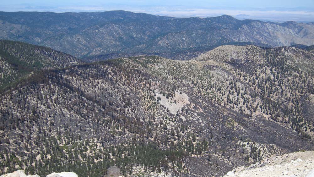 hk15072760.jpg - 156875 Bytes