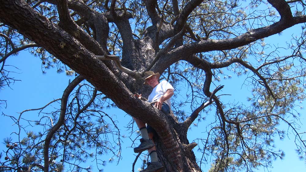 hk15083133.jpg - 190314 Bytes