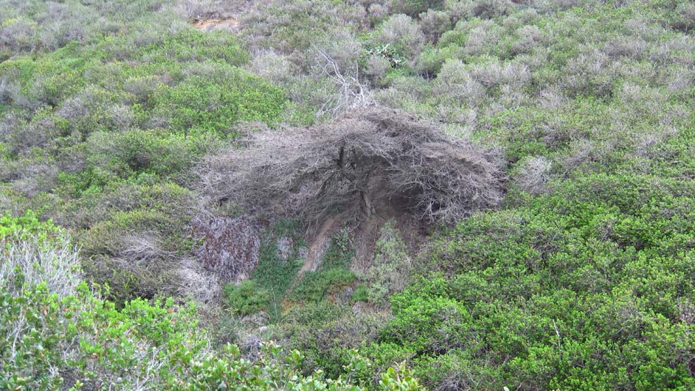 hk15083162.jpg - 192163 Bytes