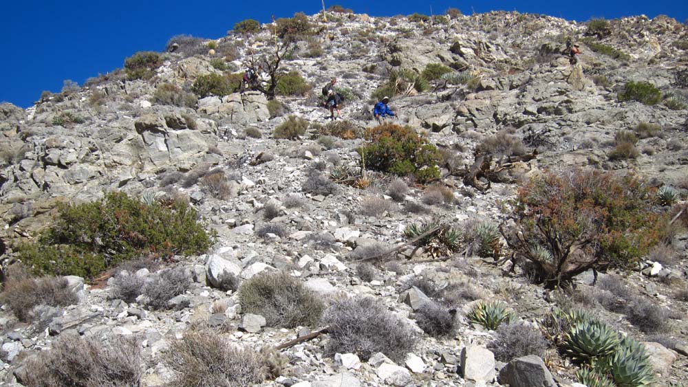 hk15110972.jpg - 177946 Bytes