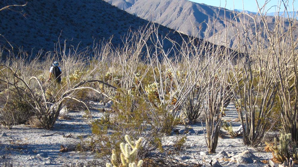 hk15112319.jpg - 199003 Bytes