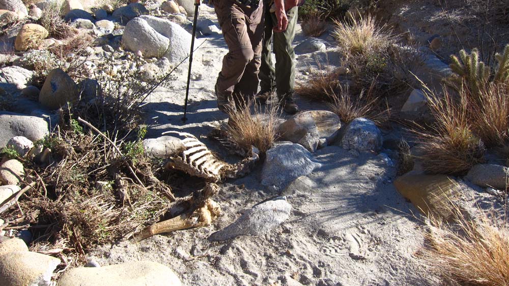 hk15112370.jpg - 186812 Bytes