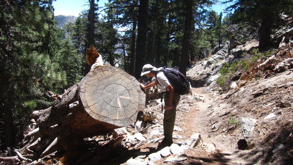 HK1607180010.JPG - 834084 Bytes