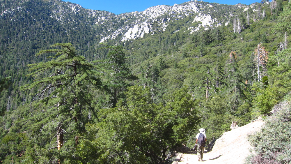 HK1607180042.JPG - 898157 Bytes