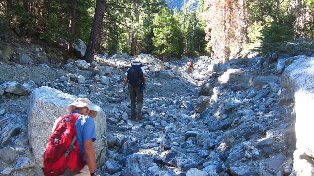 hk16071139.jpg - 167844 Bytes