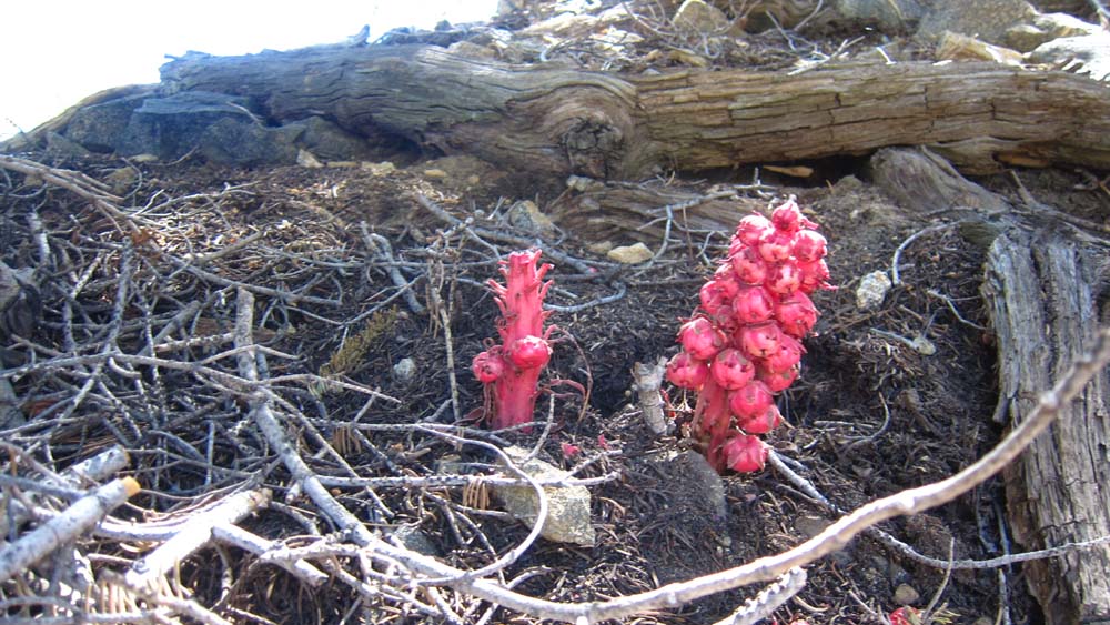 hk16071158.jpg - 148506 Bytes