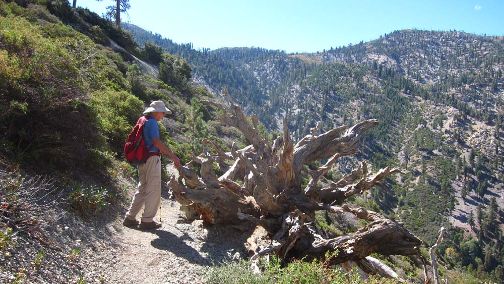 hk16091925.jpg - 165108 Bytes