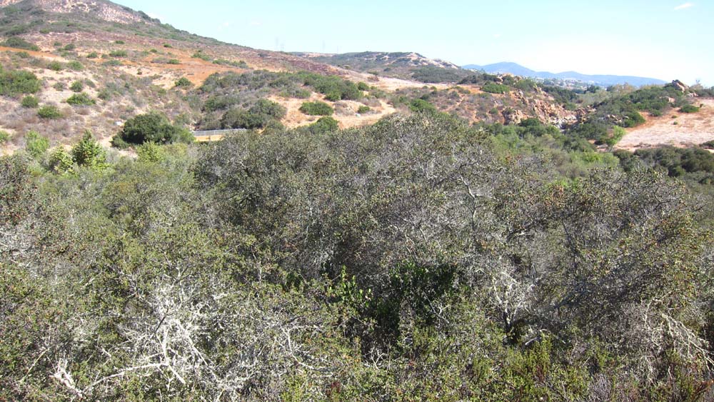 hk16100303.jpg - 197259 Bytes