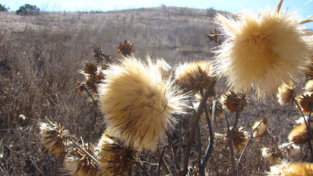 hk16100308.jpg - 116131 Bytes