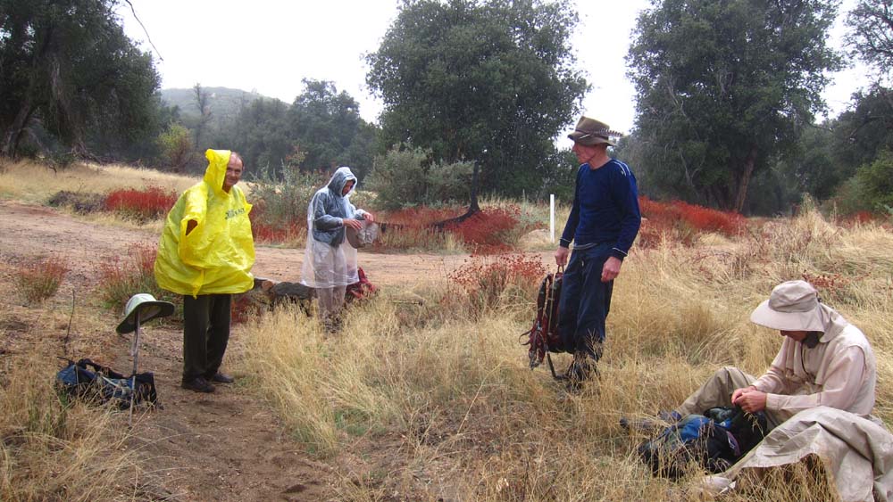 hk16101711.jpg - 134644 Bytes