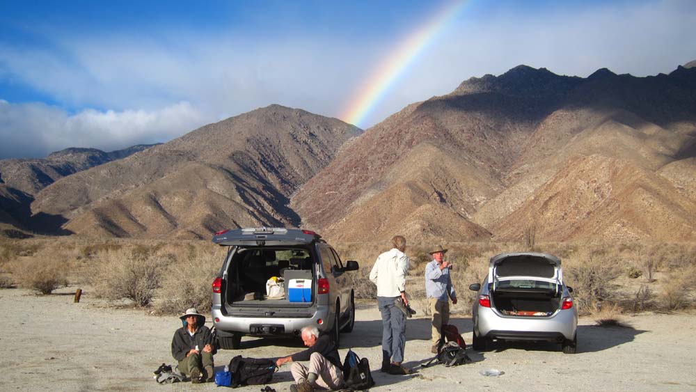 hk16112178.jpg - 89350 Bytes