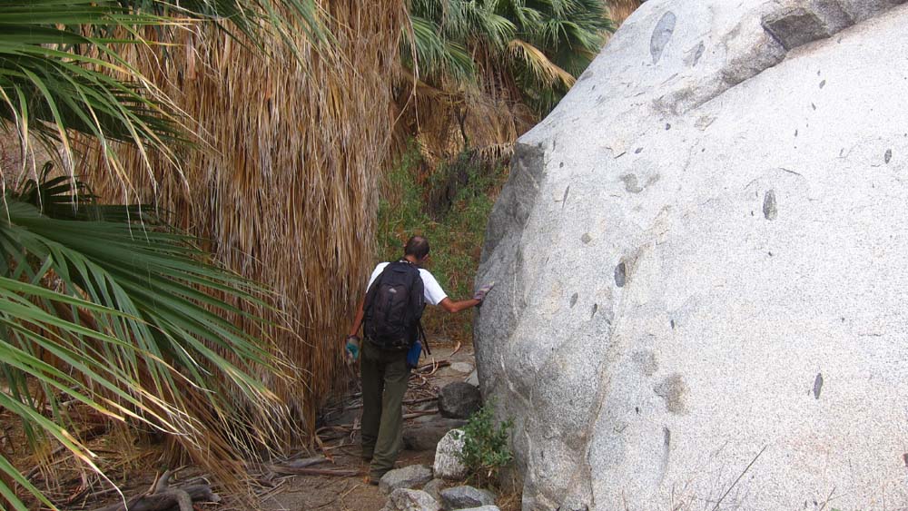 hk16112183.jpg - 147152 Bytes