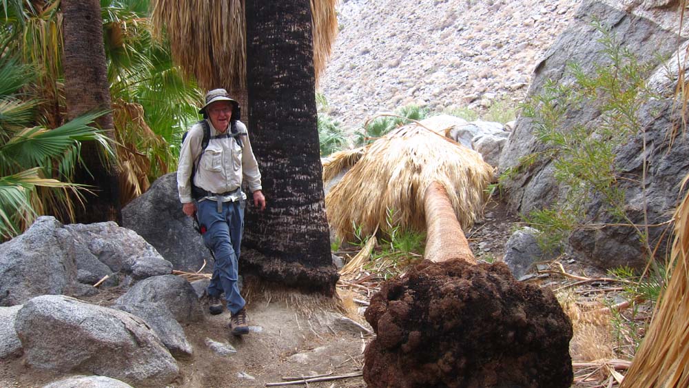 hk16112187.jpg - 154444 Bytes