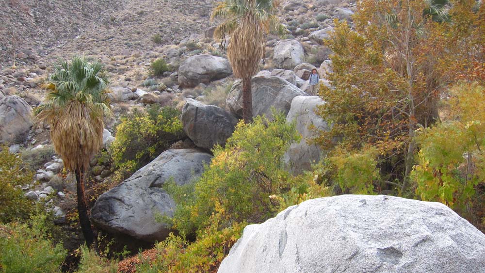 hk16112191.jpg - 153160 Bytes