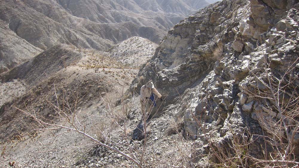 hk16112816.jpg - 176229 Bytes