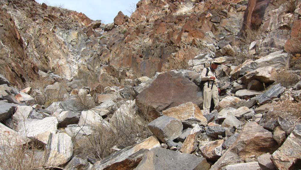 hk16112824.jpg - 161924 Bytes