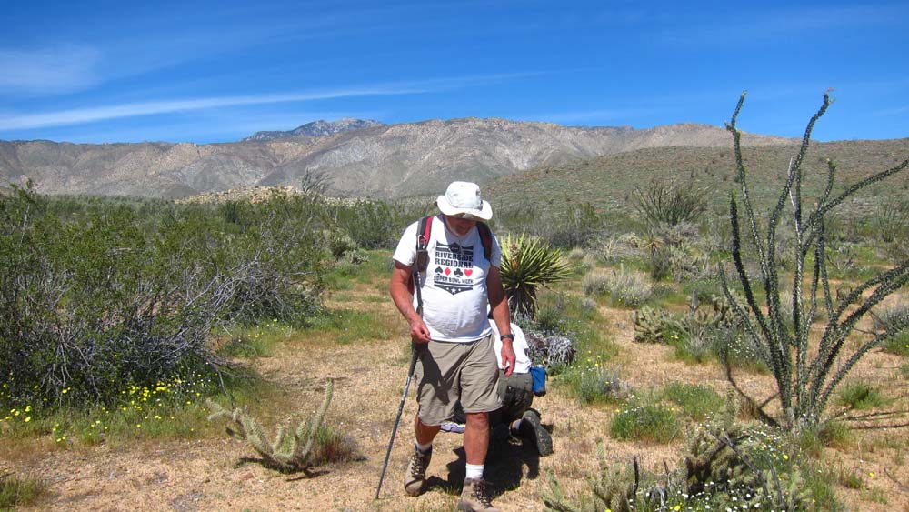 hk17032075.jpg - 131996 Bytes