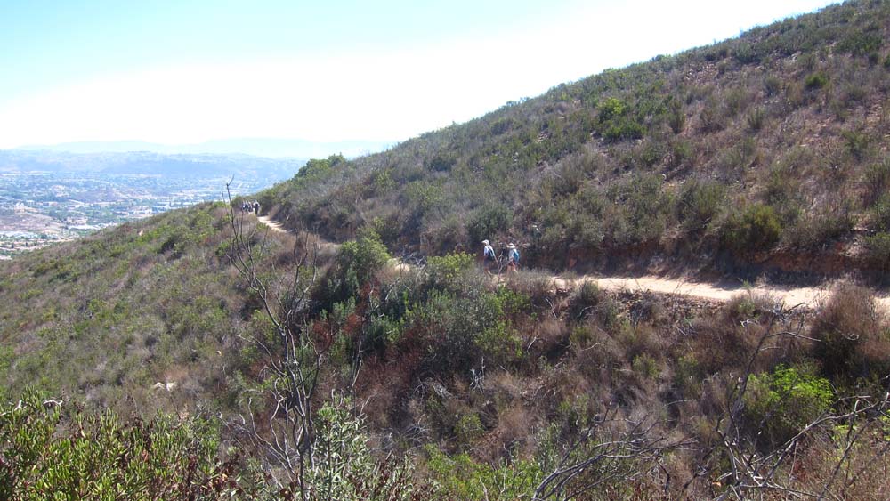 hk18072357.jpg - 129588 Bytes