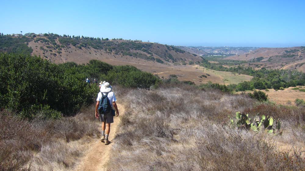 hk18080640.jpg - 114794 Bytes