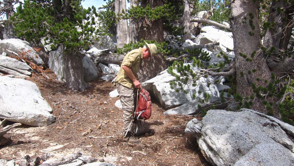 hk18082073.jpg - 183409 Bytes