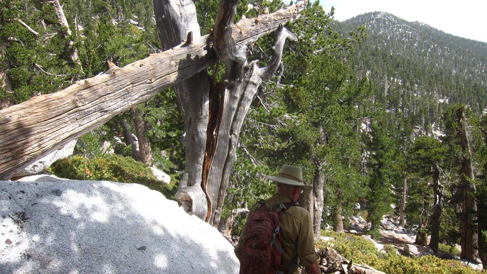 hk18082075.jpg - 176211 Bytes