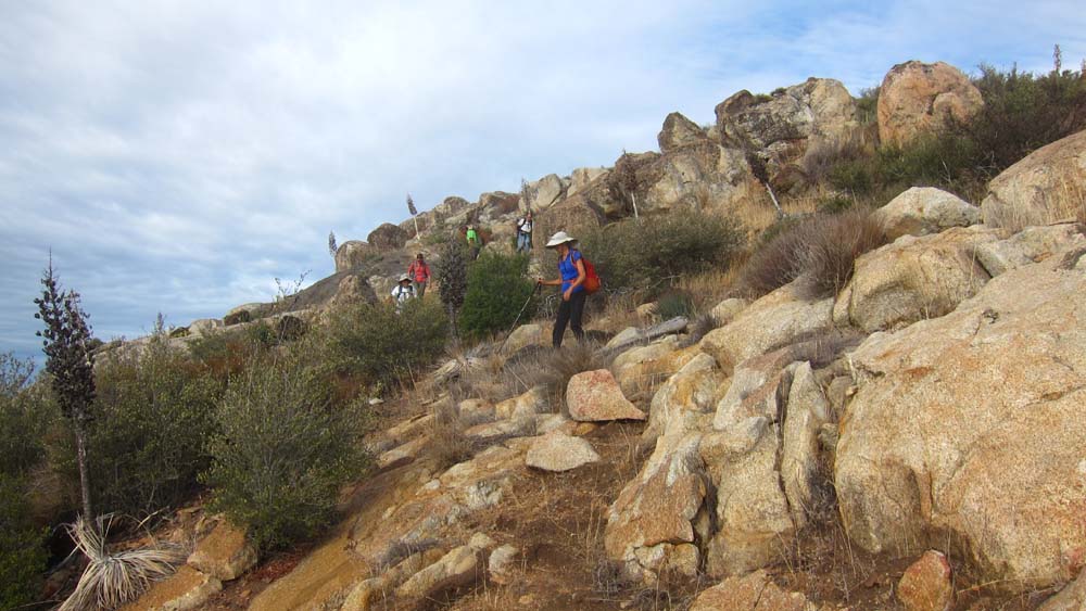 hk18100139.jpg - 107989 Bytes