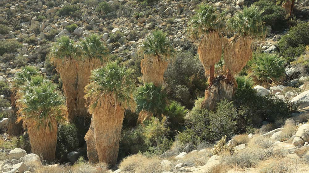 hk18102241.jpg - 160365 Bytes