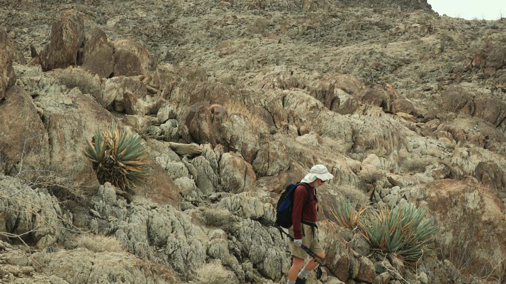 hk18121033.jpg - 151225 Bytes