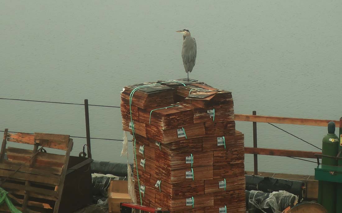 hk20091448.jpg - 71229 Bytes