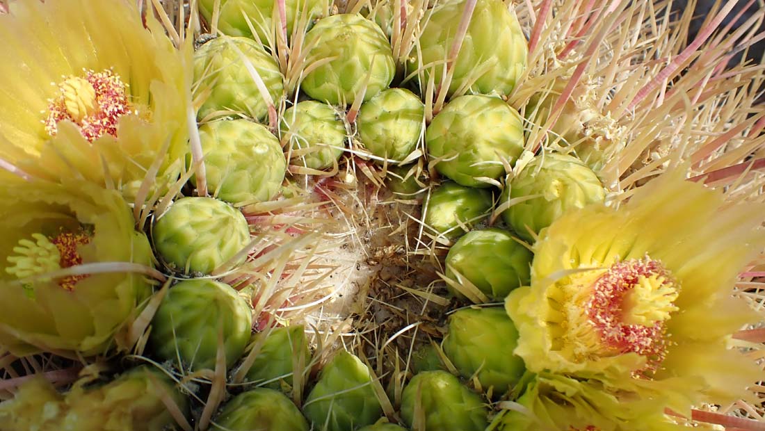 hk22032801.jpg - 125366 Bytes