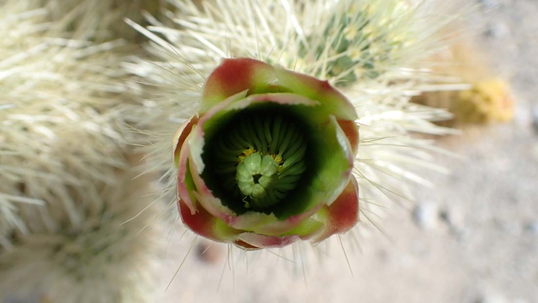 hk22032802.jpg - 54184 Bytes