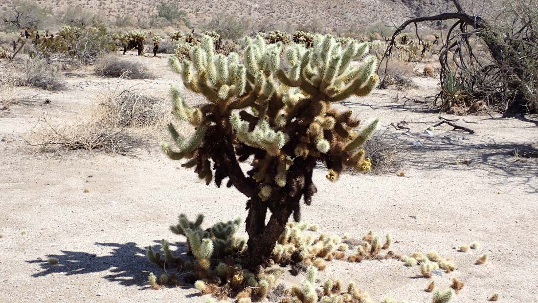 hk22032805.jpg - 208519 Bytes