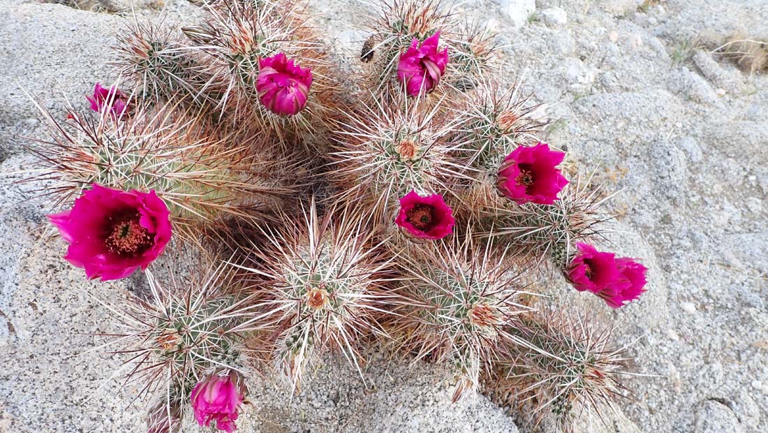 hk22032866.jpg - 246641 Bytes