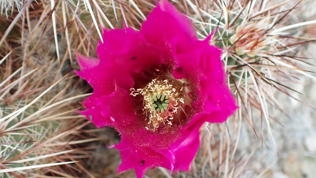 hk22032868.jpg - 103235 Bytes