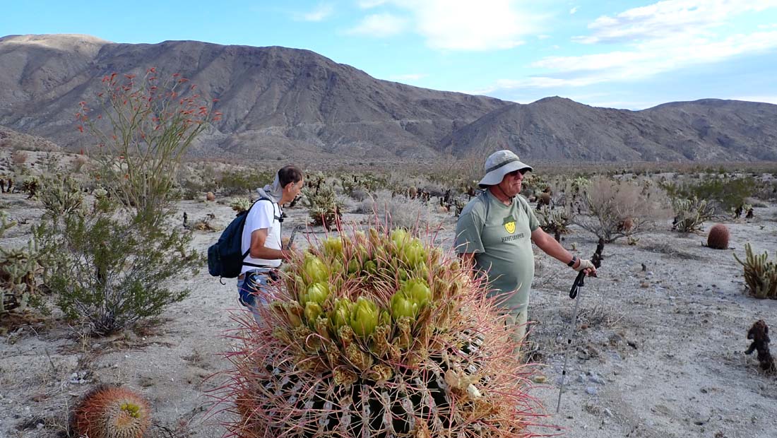 hk22032872.jpg - 166922 Bytes