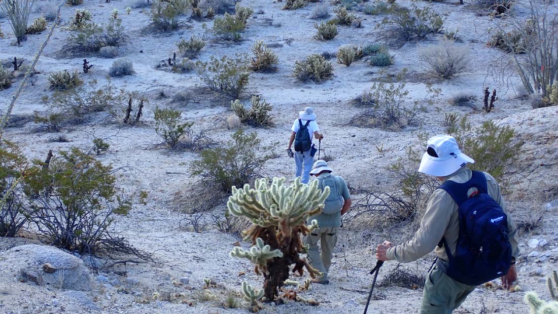 hk22032874.jpg - 202788 Bytes