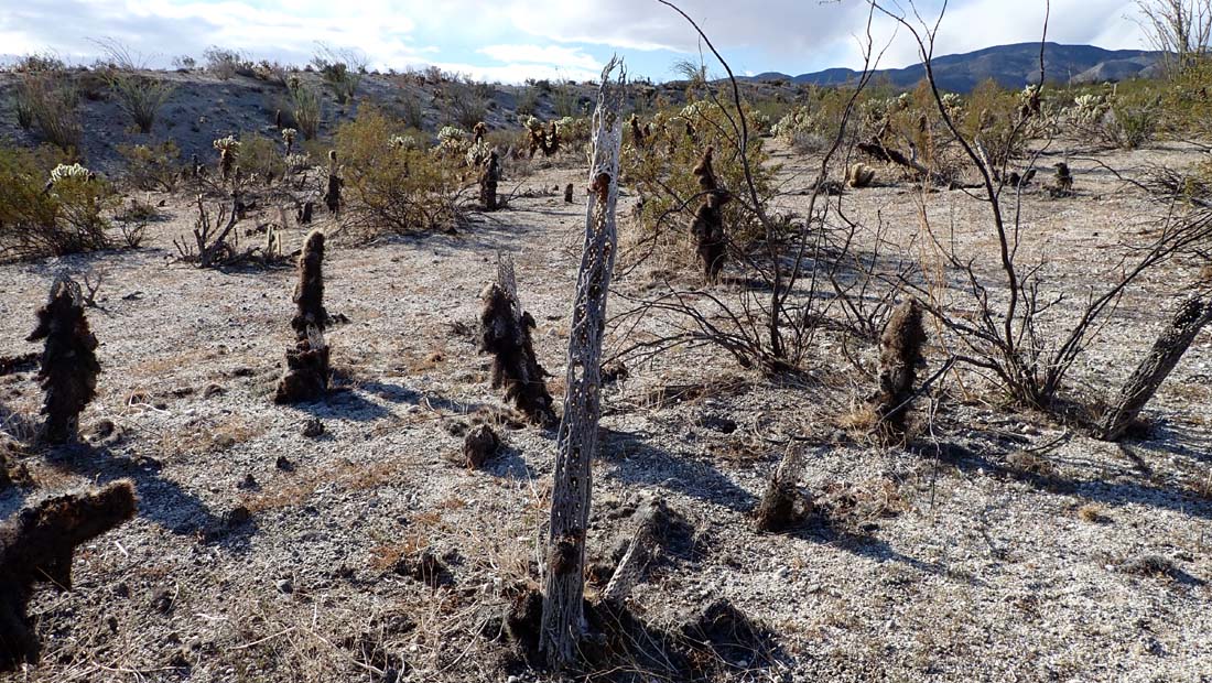 hk22032875.jpg - 268938 Bytes