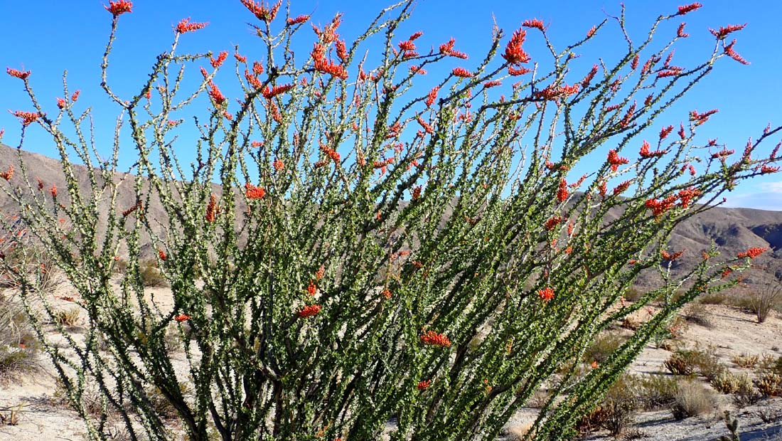 hk22032880.jpg - 283292 Bytes